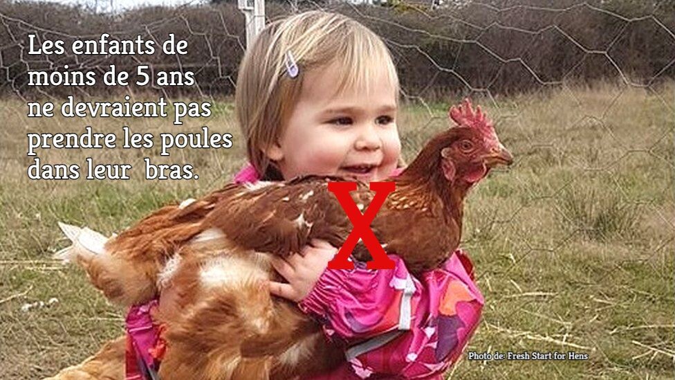 enfants et zoonoses