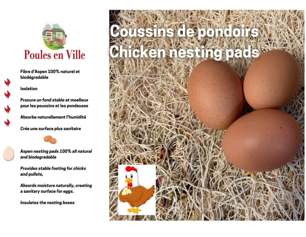 Quelle est la différence entre les différentes litières et les coussins de  pondoirs? - Poules en Ville