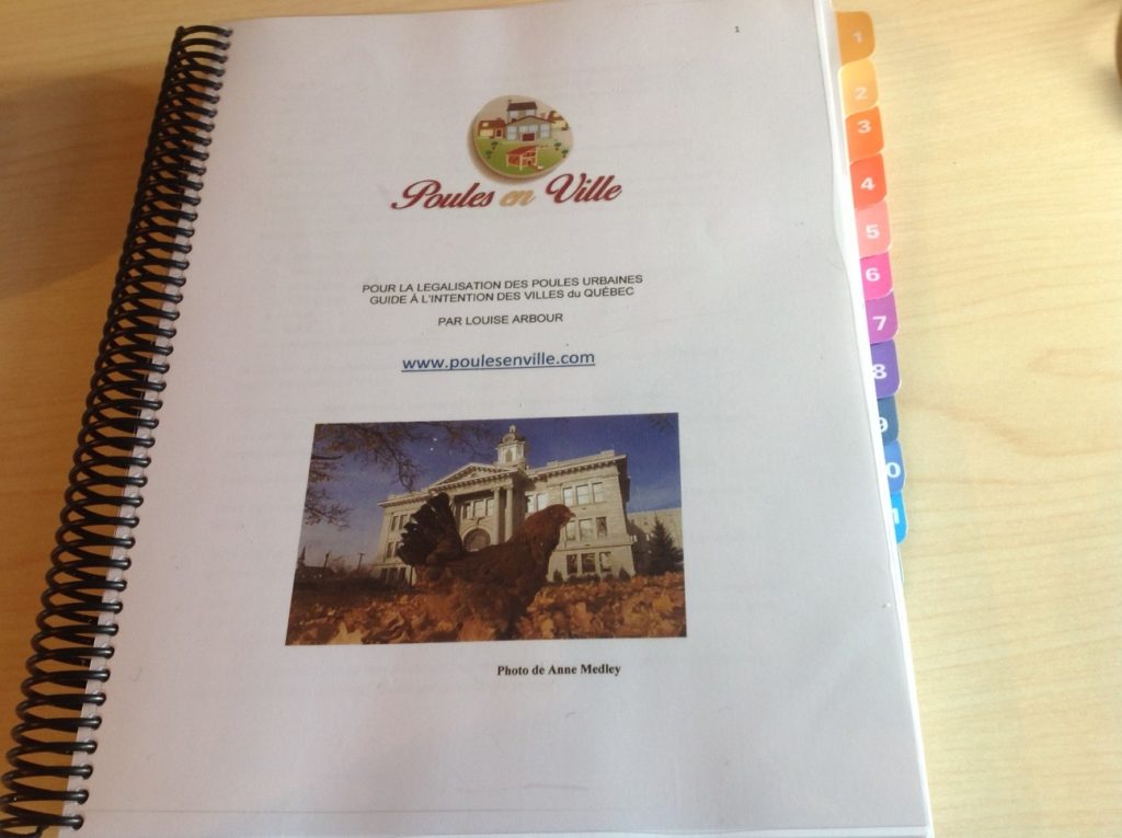 guide