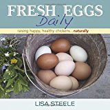Fresh eggs daily
