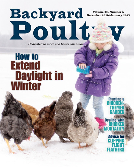 Backyard poultry magazine