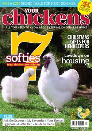 Chicken magazine