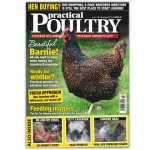 Practicla Poultry