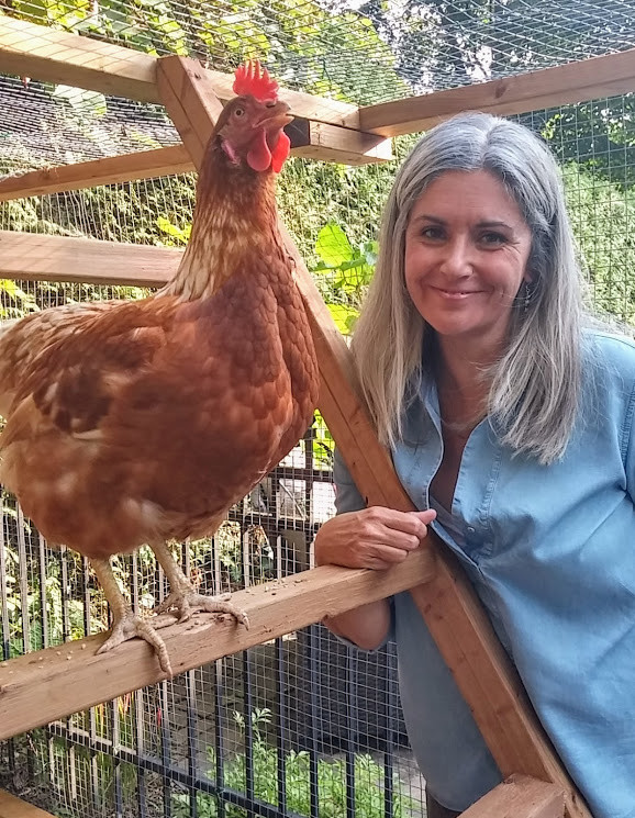 poule de ville