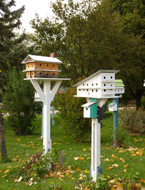 cabanes oiseaux