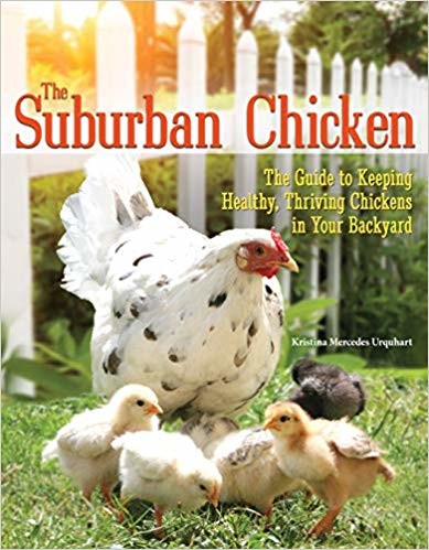 Suburban chicken