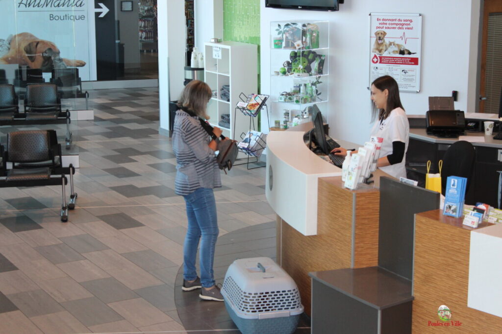 comptoir clinique vétérinaire