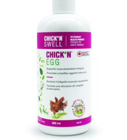 Chick'N Egg